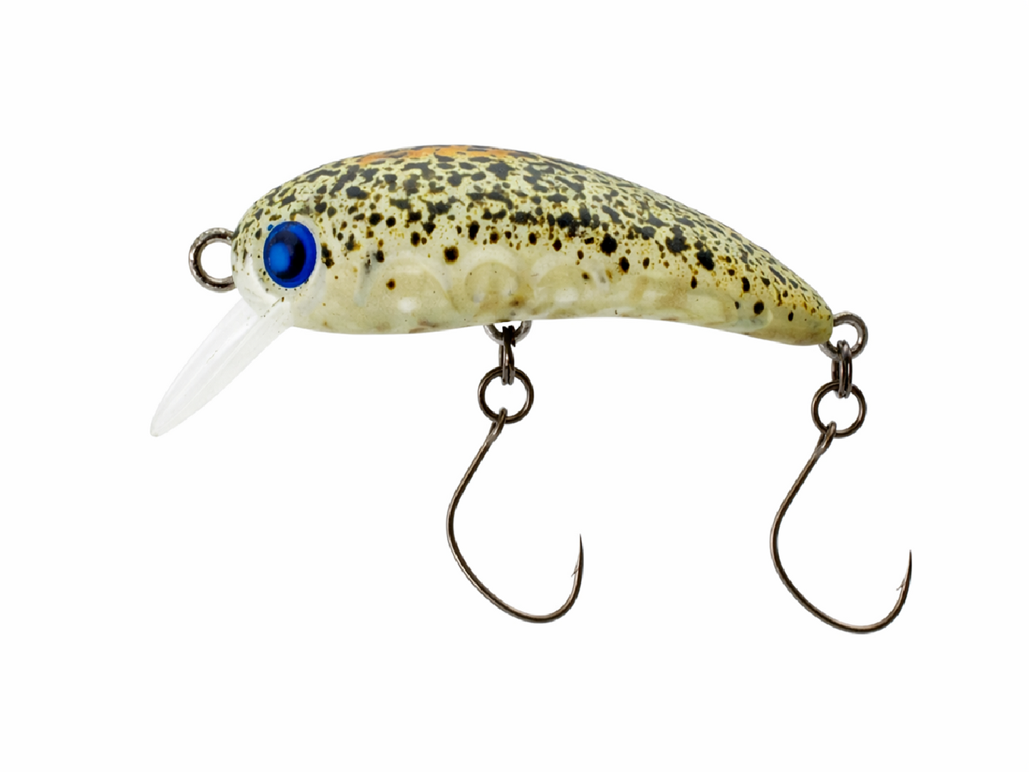 Rodio Craft x Lucky Craft RC Wah 37HF #5 GLOW