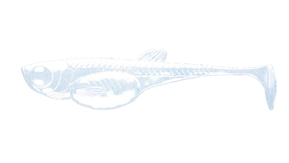 LIBRA LURES PREDATOR SERIES EMBRION SHAD