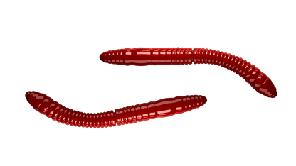 LIBRA LURES FATTY D'WORM TOURNAMENT 55mm Aroma Käse - SP-Fishing