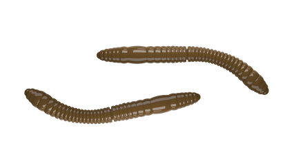 LIBRA LURES FATTY D'WORM TOURNAMENT 55mm Aroma Käse - SP-Fishing