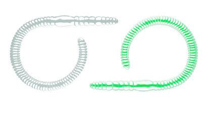 LIBRA LURES FLEX WORM 95mm Aroma Käse - SP-Fishing