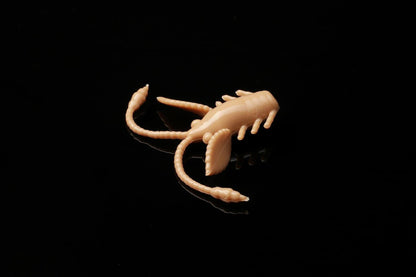 LIBRA LURES PRO NYMPH 18mm Aroma Käse - SP-Fishing