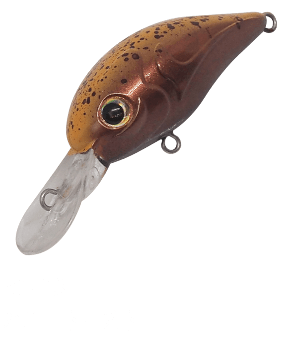 Ivyline Miwacra MR MW 03 - SP-Fishing