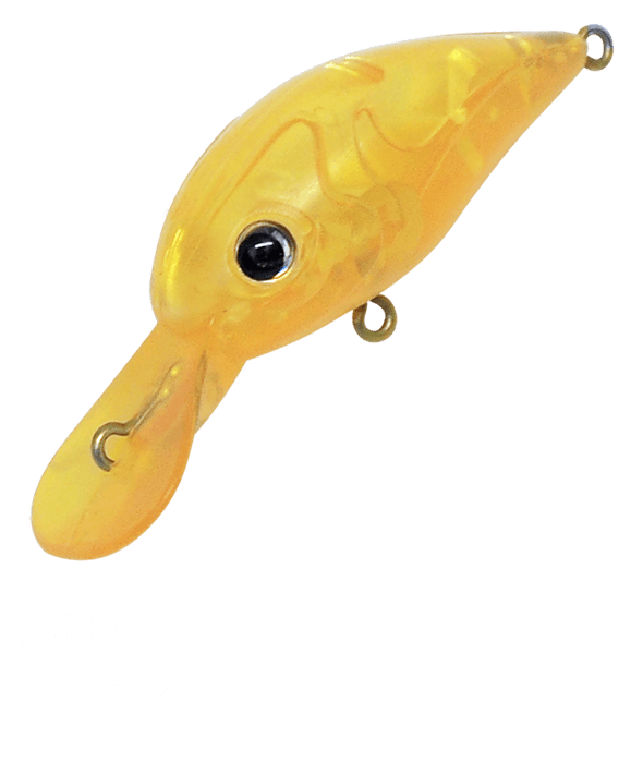 Ivyline Miwacra MR MW 04 - SP-Fishing