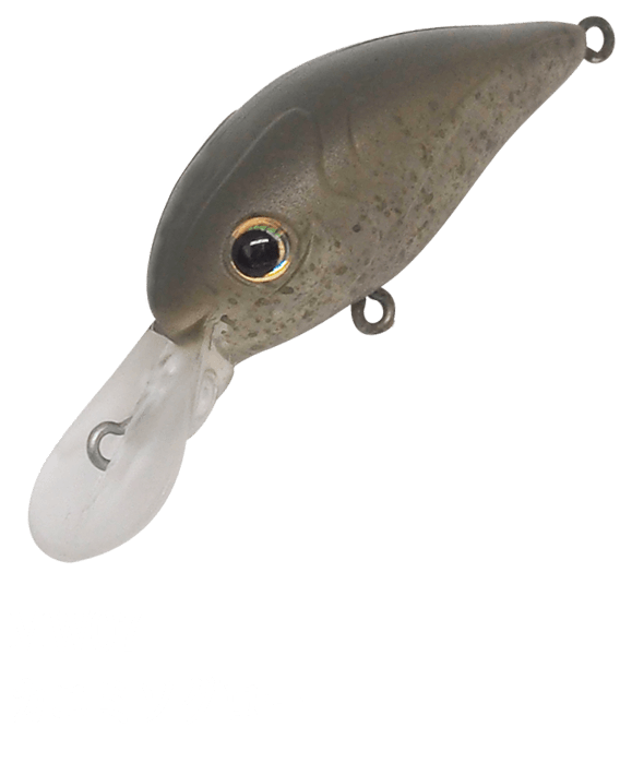 Ivyline Miwacra MR MW 07 - SP-Fishing