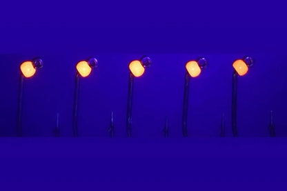 SE-HOOKS Haken mit Widerhaken und Tungstenperle in Fluo Orange - SP-Fishing