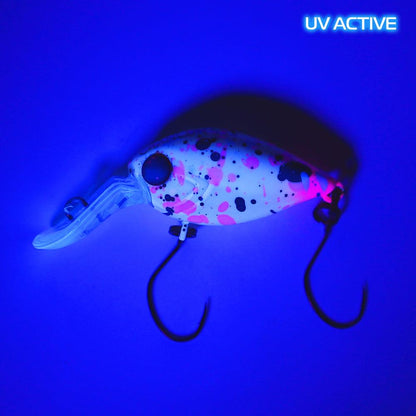 Trout Jara Crancun 25 AX20 - SP-Fishing