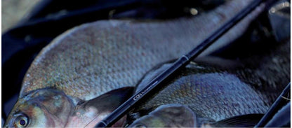 ZEMEX ICON Tournament - SP-Fishing